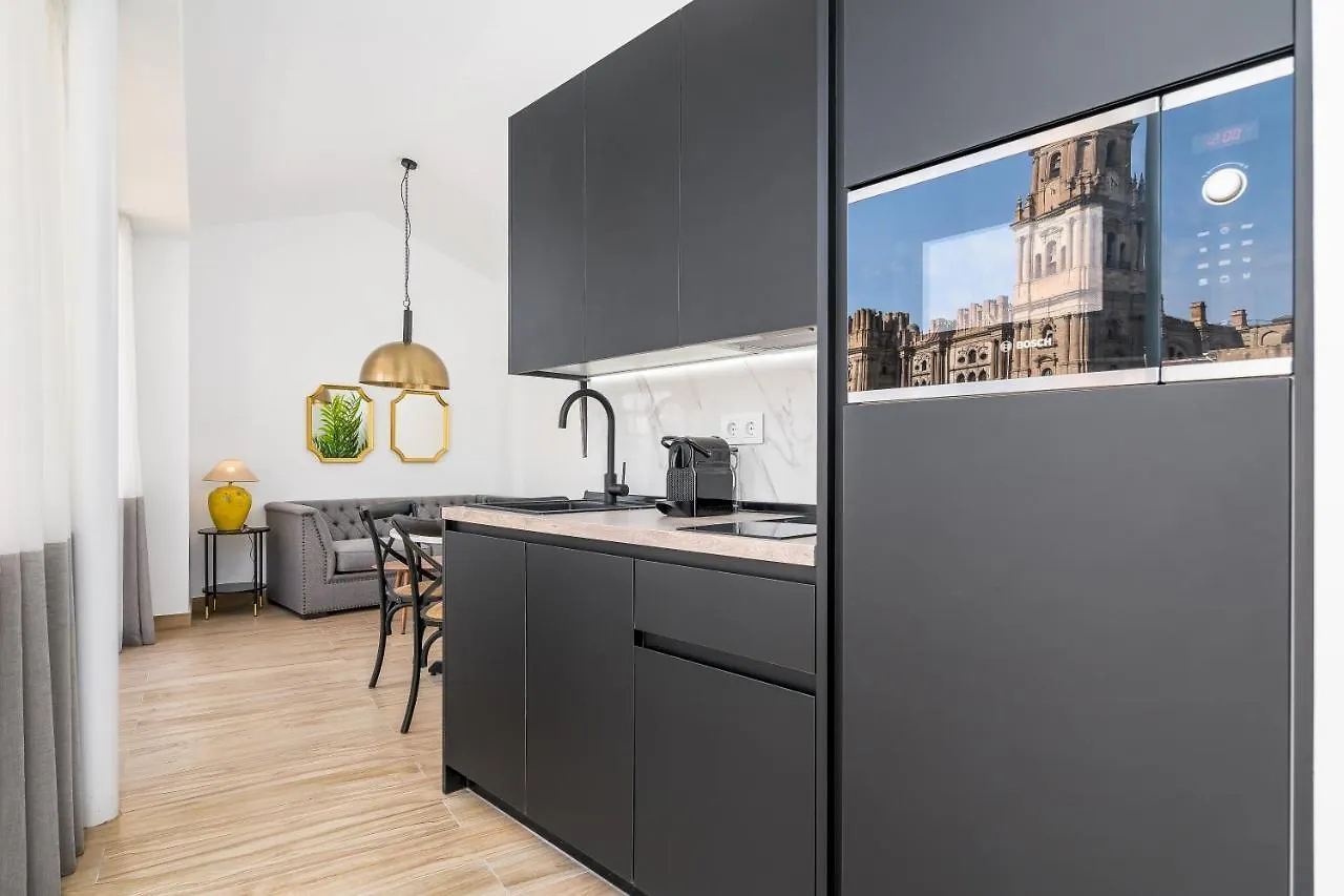 Apartamento iloftmalaga Santa María 0*,
